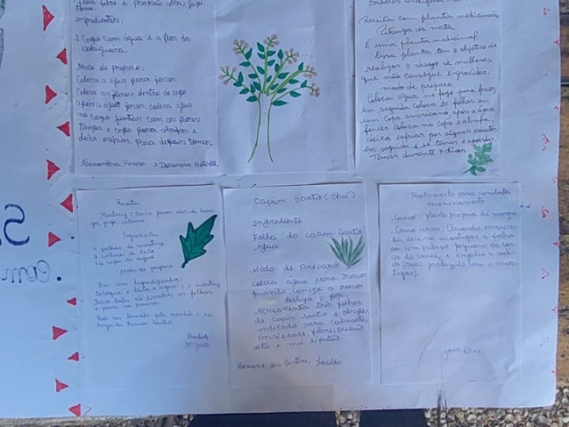 Aulas Formativas 2025